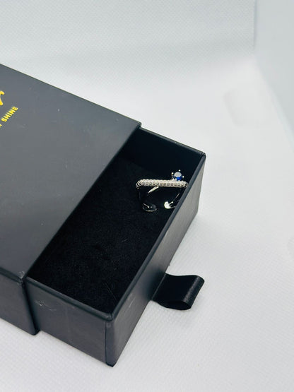 Midnight Curve Twin Band Ring – Silver Collection