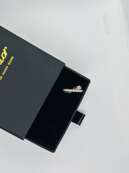 Midnight Curve Twin Band Ring – Silver Collection